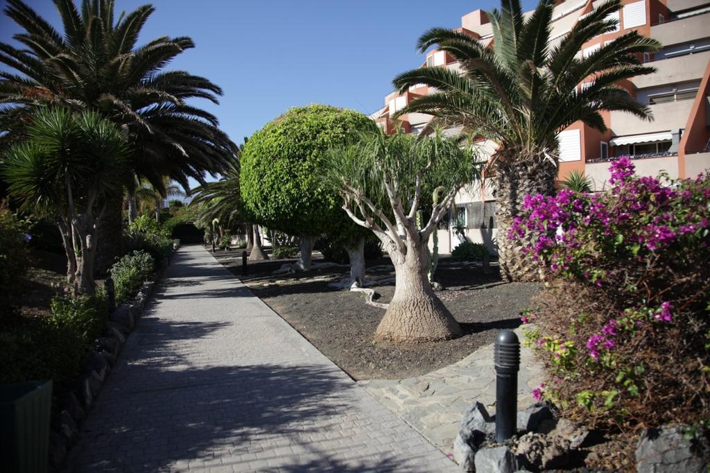 Apartamento El Cano Radazul Εξωτερικό φωτογραφία